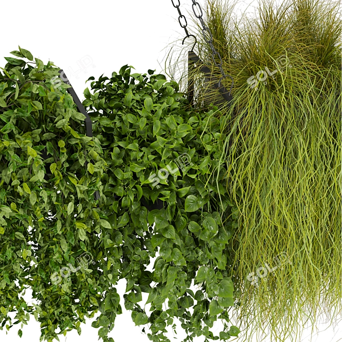 Hanging Indoor Plant Collection Vol. 282 3D model image 4