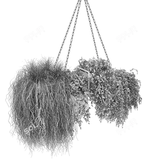 Hanging Indoor Plant Collection Vol. 282 3D model image 5