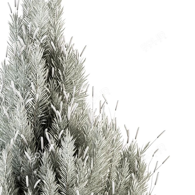 Pine Plant Decor in Tray - Set 89 3D model image 4