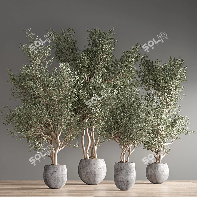 Vibrant Indoor Plant Kit 3D model image 3