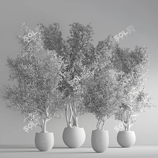 Vibrant Indoor Plant Kit 3D model image 4