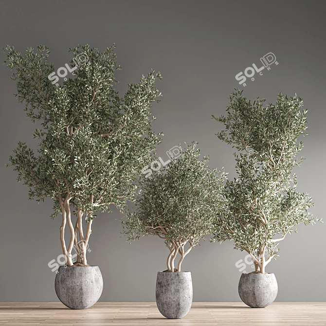 Vibrant Indoor Plant Kit 3D model image 7