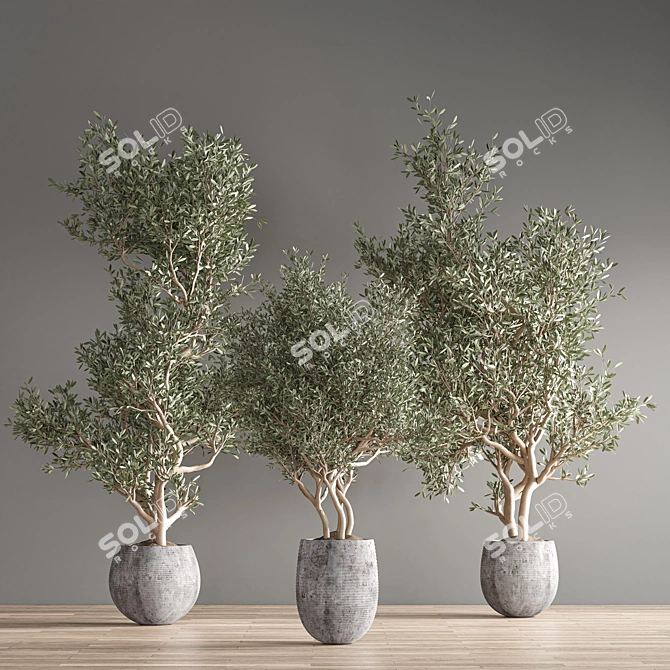 Vibrant Indoor Plant Kit 3D model image 8