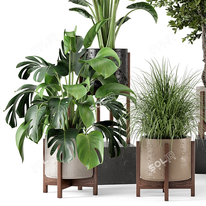 Wood and Concrete Indoor Plant Set 3D model image 2