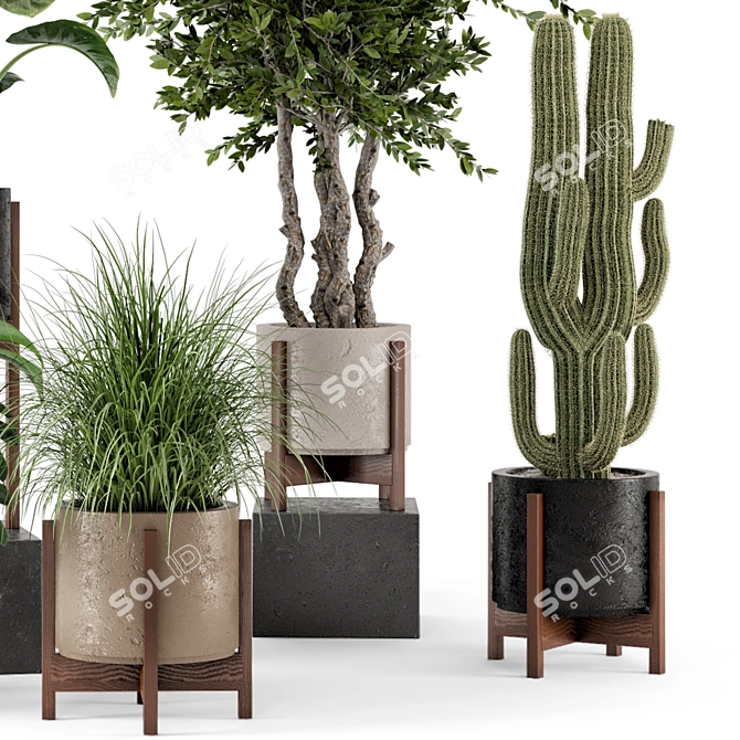 Wood and Concrete Indoor Plant Set 3D model image 3