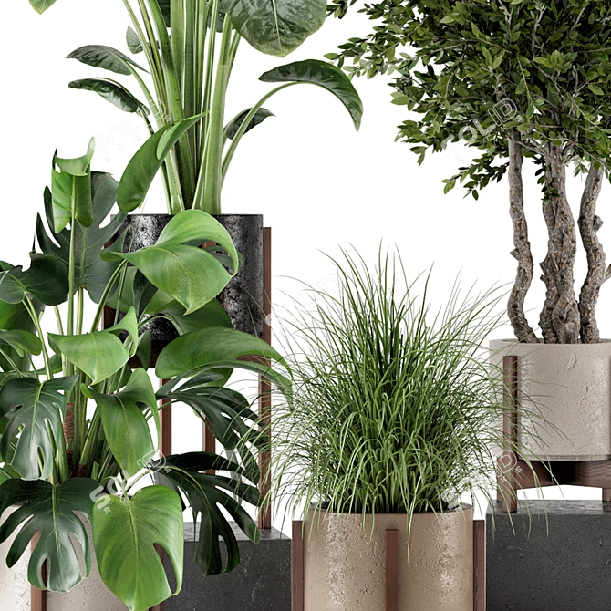 Wood and Concrete Indoor Plant Set 3D model image 6