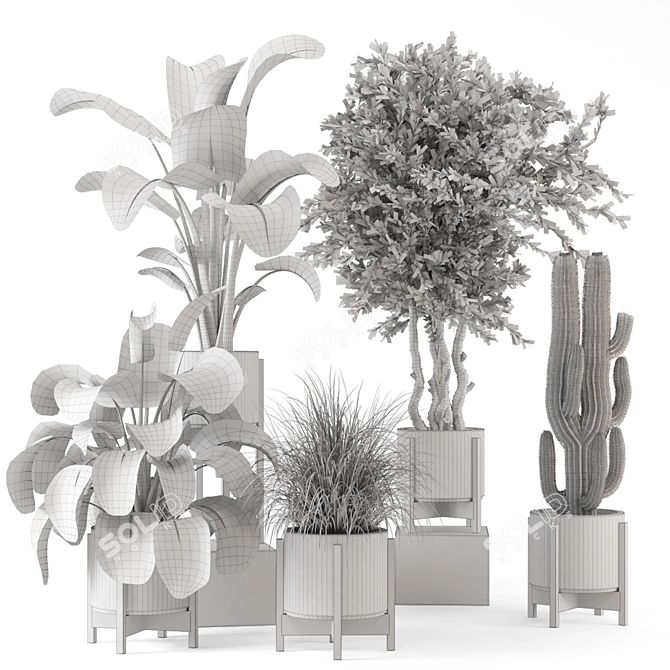 Wood and Concrete Indoor Plant Set 3D model image 7