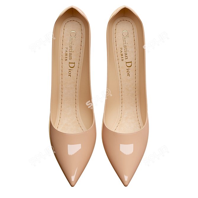 Chic Dior D-Moi Pumps 3D model image 6