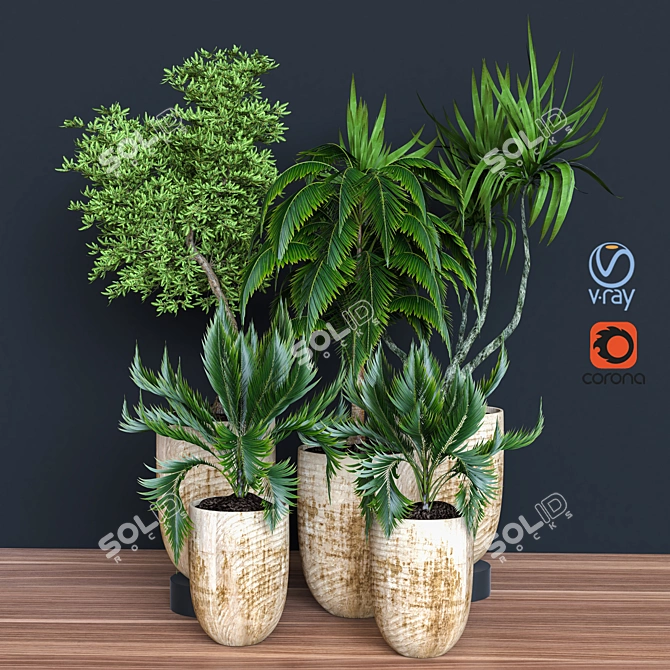 Modern Indoor Plant Vol 26 3D model image 4