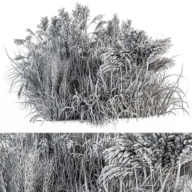 Pampas Bush Set 54: Dried & Fresh 3D model image 4