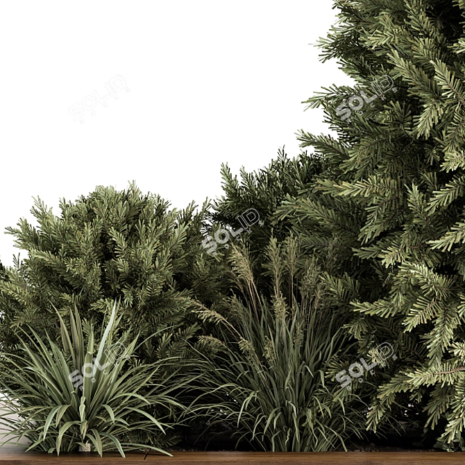 Evergreen Garden Set: Pine Tree & Bush 3D model image 2
