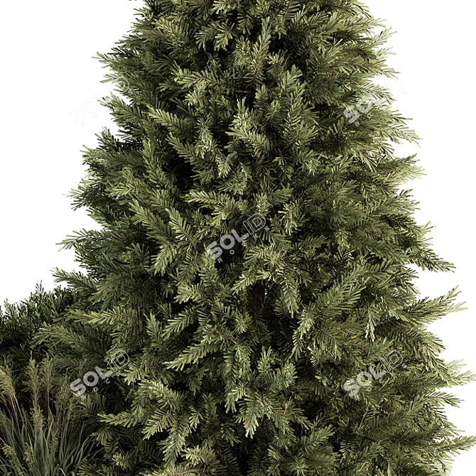 Evergreen Garden Set: Pine Tree & Bush 3D model image 3