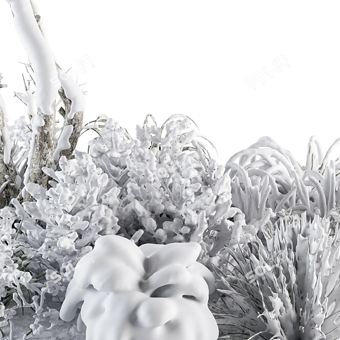 Snowy Garden Set: Outdoor Plants in Plant Box 3D model image 2