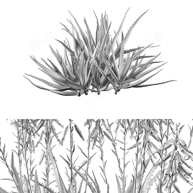 Blue Elf Aloes: Stunning 3D Model 3D model image 7