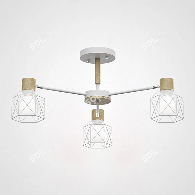 CORF Chandelier with Elegant Design 3D model image 3