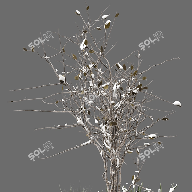 Snowy Garden Set: Outdoor Bush and Tree 3D model image 4