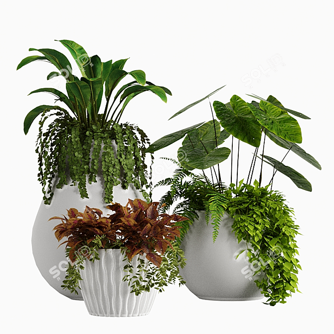 Tropical Plant Vase Set 3D model image 1