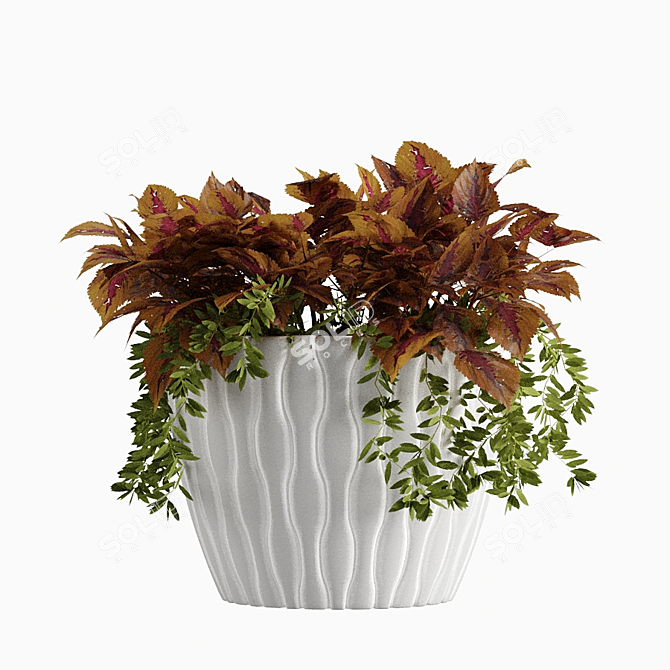 Tropical Plant Vase Set 3D model image 2