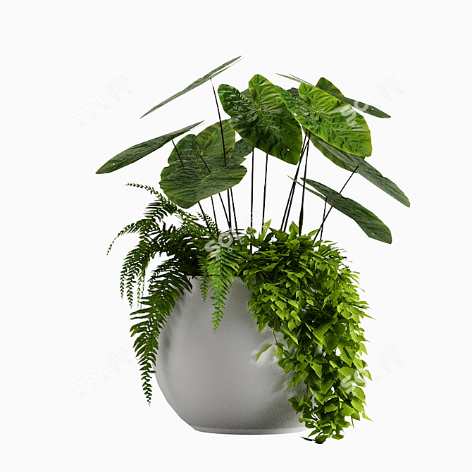 Tropical Plant Vase Set 3D model image 3