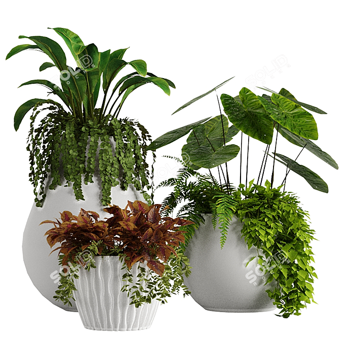 Tropical Plant Vase Set 3D model image 5