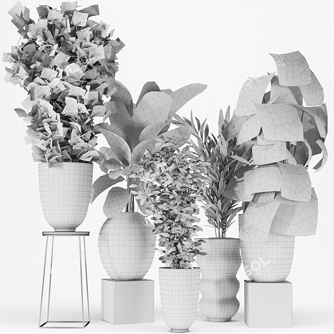 Five Plant Collection - Indoor/outdoor Ornamental Plants 3D model image 9