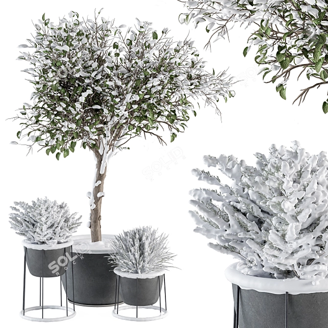 Frosted Outdoor Plant Set 3D model image 1