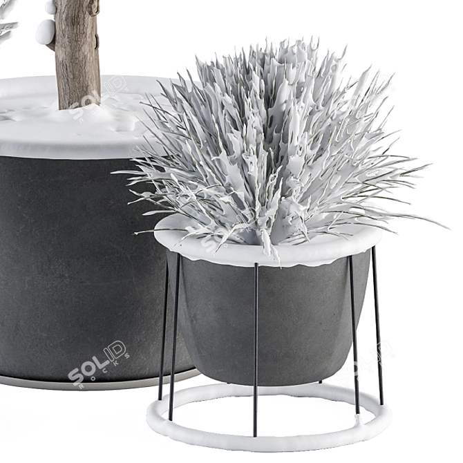 Frosted Outdoor Plant Set 3D model image 2