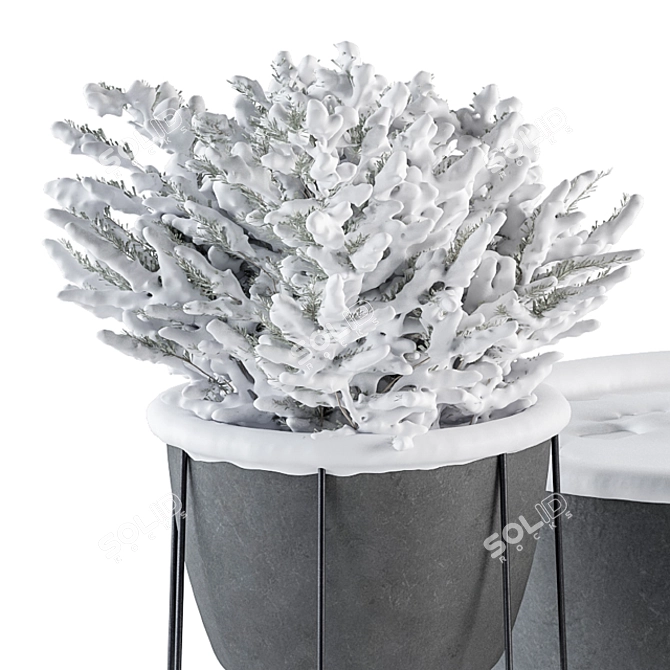 Frosted Outdoor Plant Set 3D model image 3