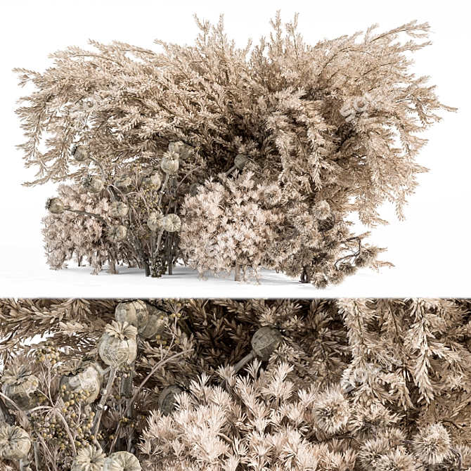 Natural Pampas Grass Decor Set 3D model image 1