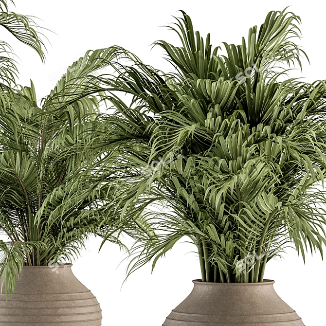 Tropical Oasis: Outdoor Plant Set 3D model image 3