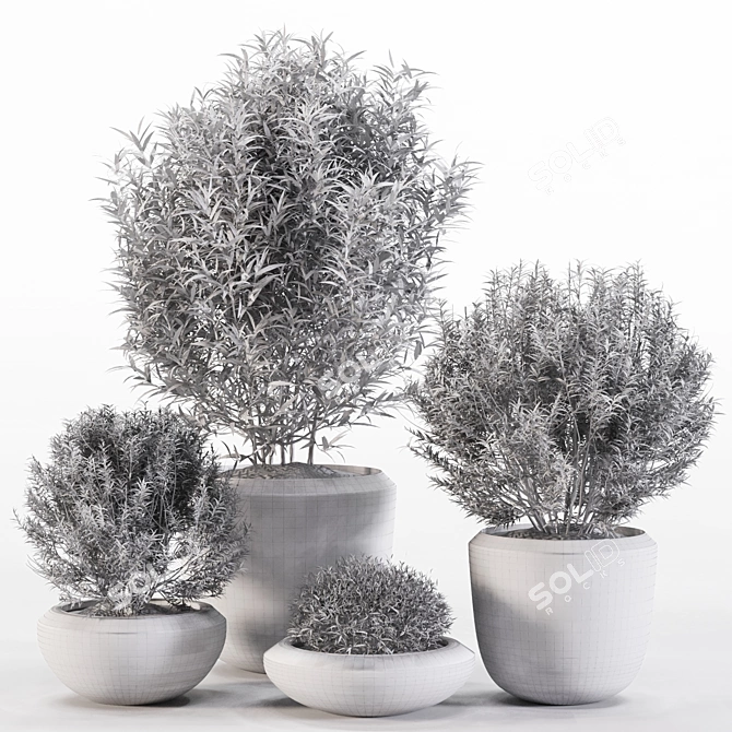 4 Pot Rosemary: Healthy & Fragrant Herb 3D model image 4