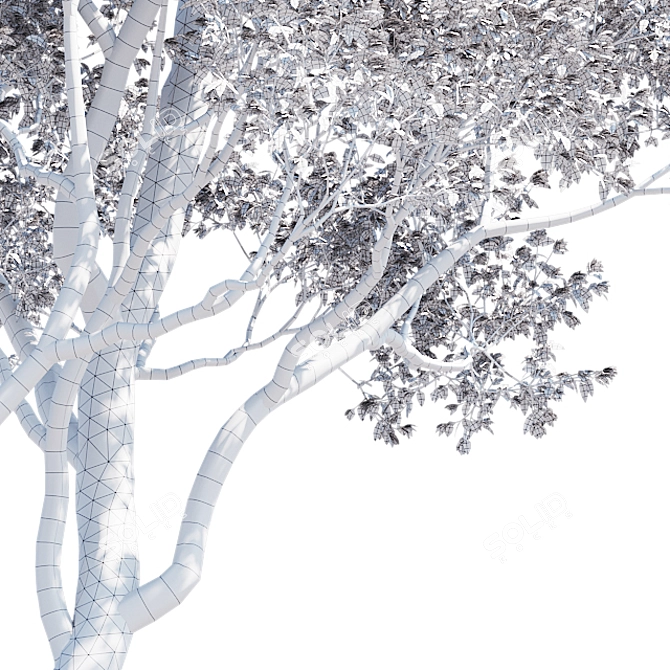 Oak Tree 3D Models | Closeup-Optimized 3D model image 3