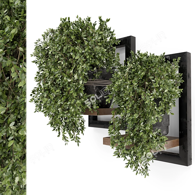 Rustic Indoor Plants in Concrete Pot 3D model image 1