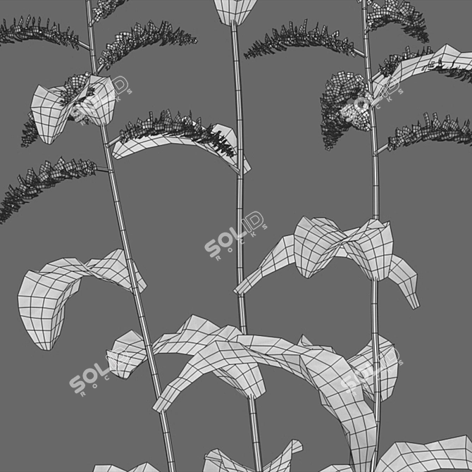 Curled Dock - 3D Plant Model 3D model image 2