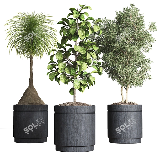 Indoor Plant Collection: 13 Varieties 3D model image 2