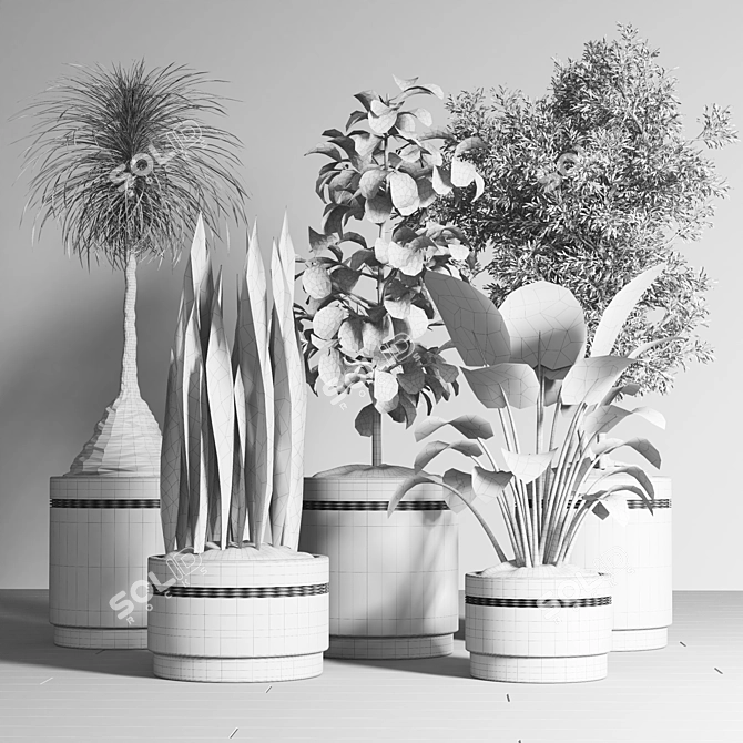 Indoor Plant Collection: 13 Varieties 3D model image 4