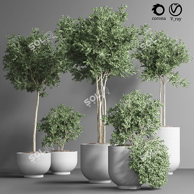 Indoor Plant Collection 13: Elegant Greenery for your Home 3D model image 1