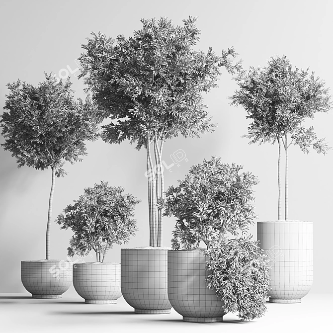 Indoor Plant Collection 13: Elegant Greenery for your Home 3D model image 2