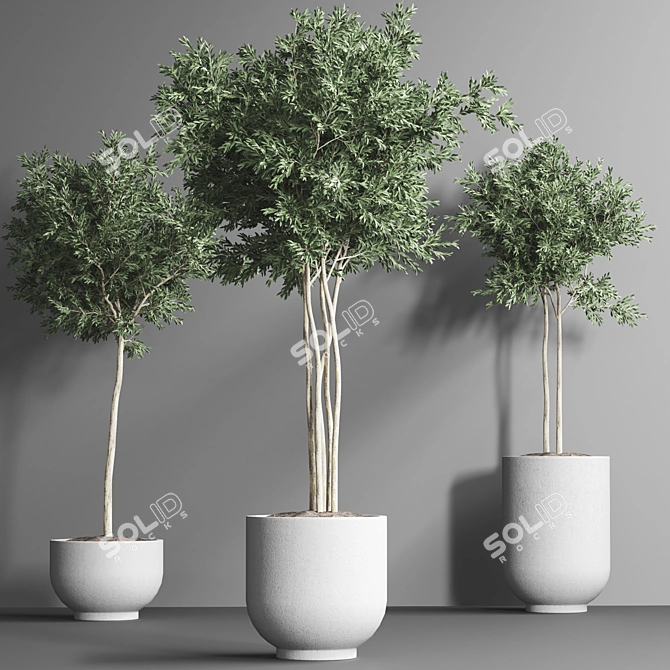 Indoor Plant Collection 13: Elegant Greenery for your Home 3D model image 6