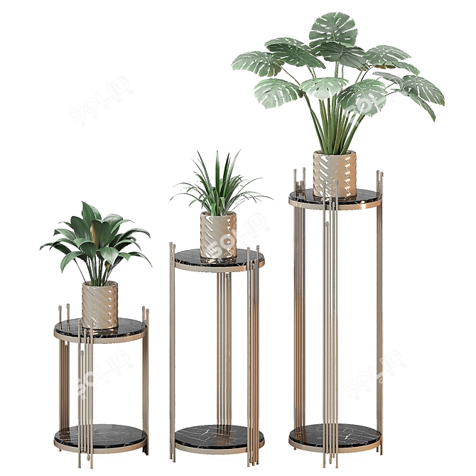 Golden Vase Indoor Plant Set 3D model image 4