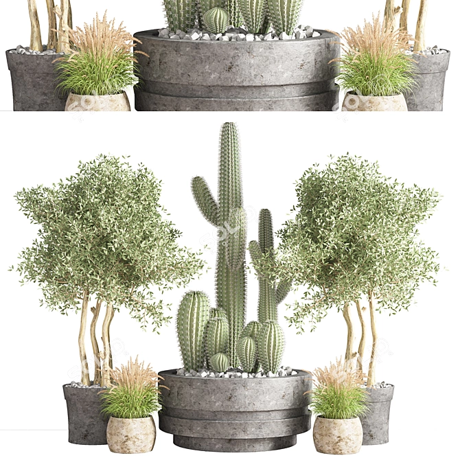 Modern Indoor Plant Set 3D model image 1