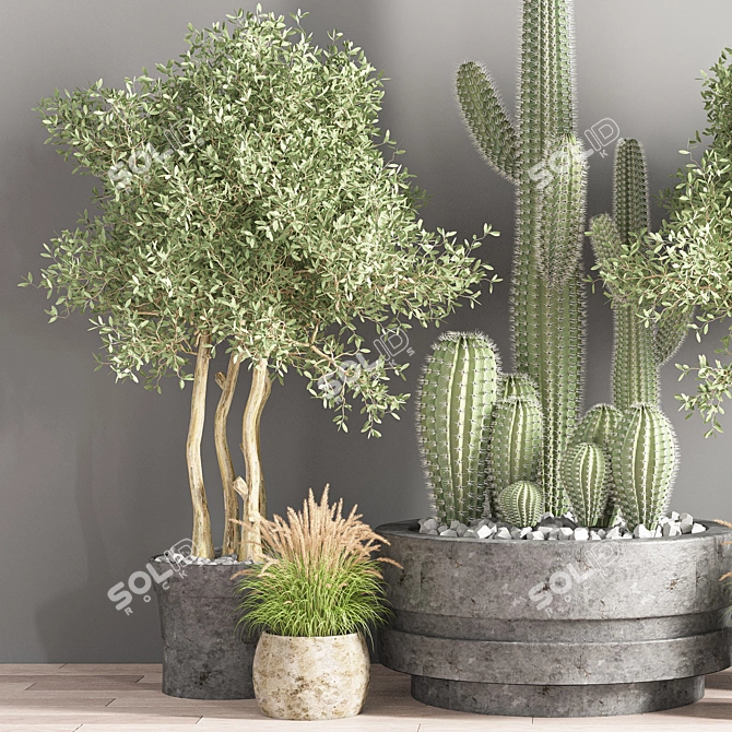 Modern Indoor Plant Set 3D model image 3