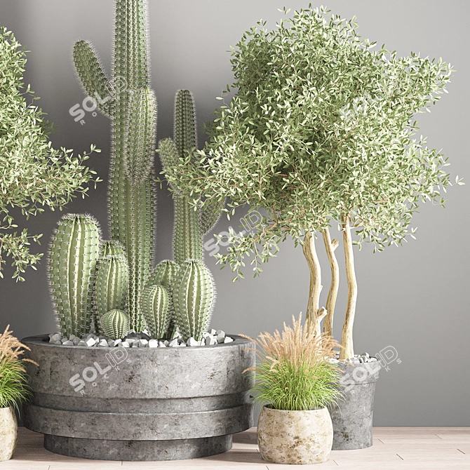 Modern Indoor Plant Set 3D model image 4