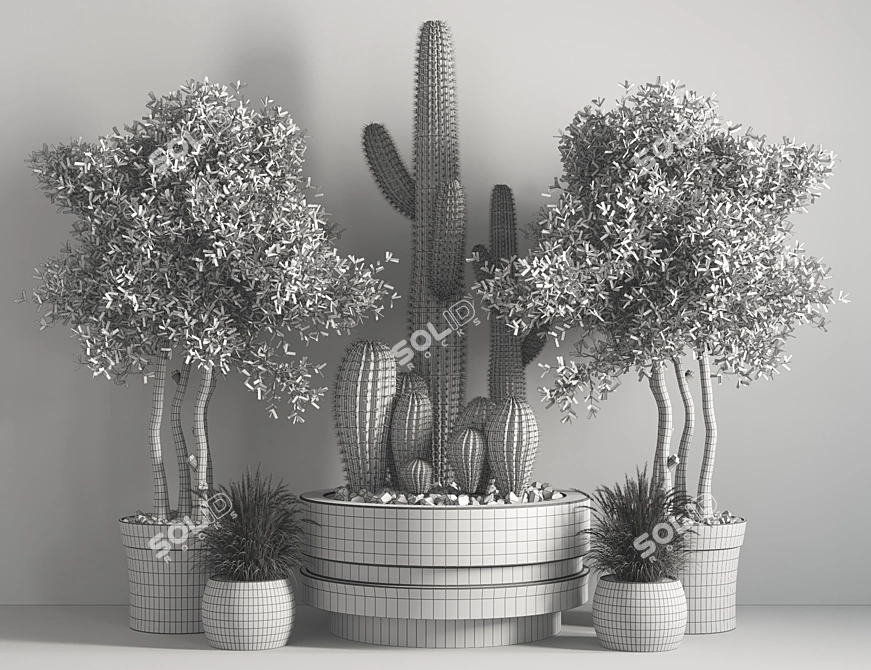 Modern Indoor Plant Set 3D model image 5