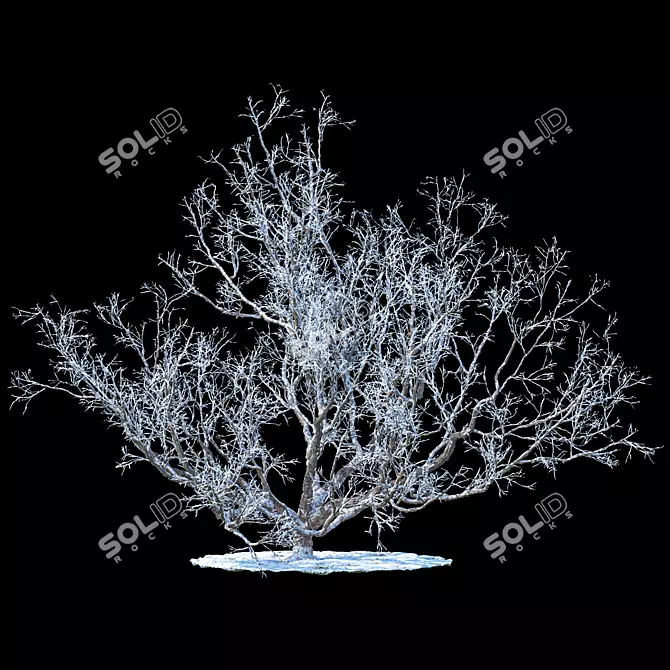 Winter Wonderland Apple Tree 3D model image 1