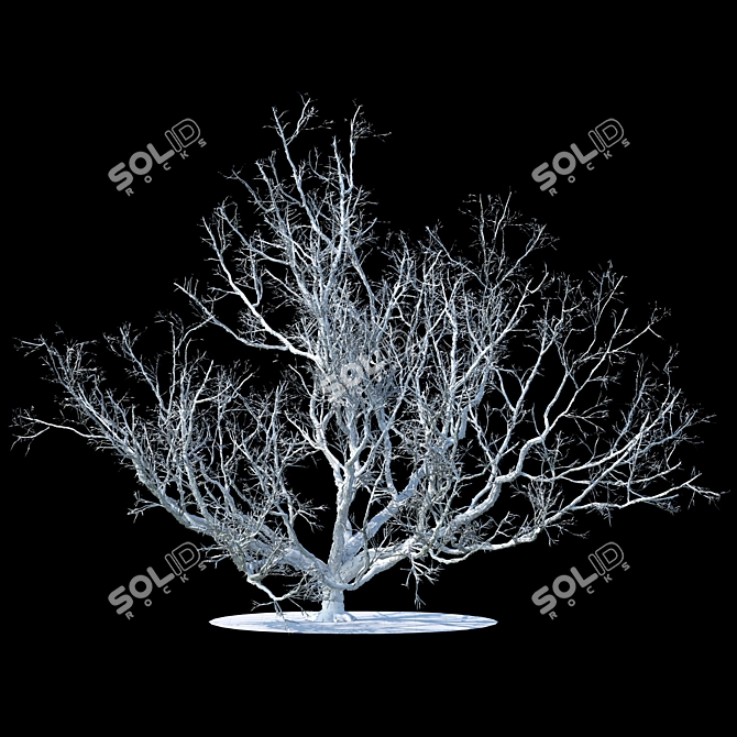 Winter Wonderland Apple Tree 3D model image 2