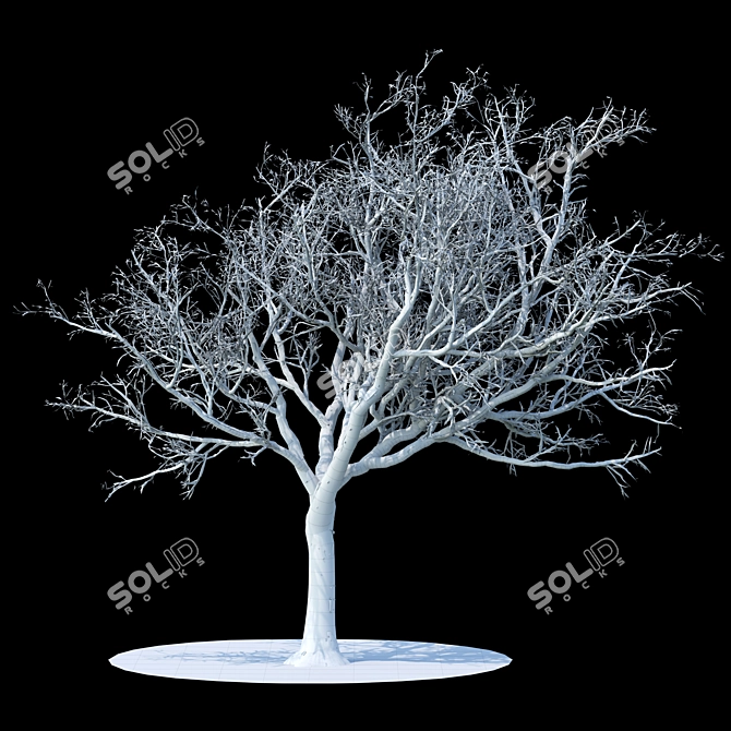 Snowy Winter Apple Tree 3D model image 2