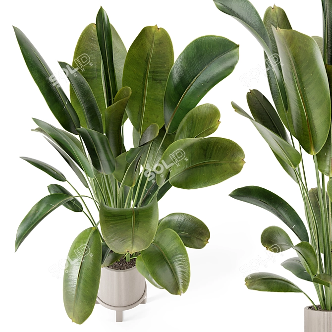 Ferm Living Bau Pot Large - Set 378: Stylish Indoor Plants 3D model image 3