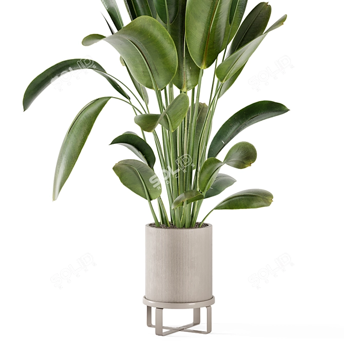 Ferm Living Bau Pot Large - Set 378: Stylish Indoor Plants 3D model image 5