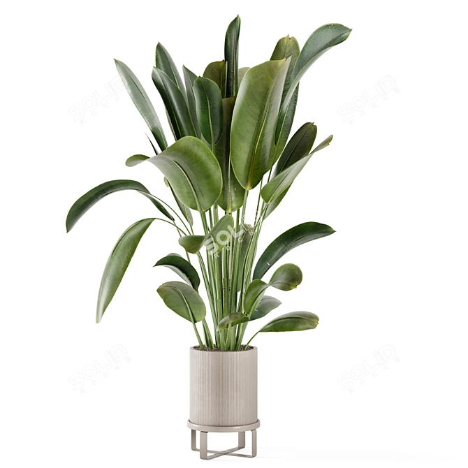 Ferm Living Bau Pot Large - Set 378: Stylish Indoor Plants 3D model image 7